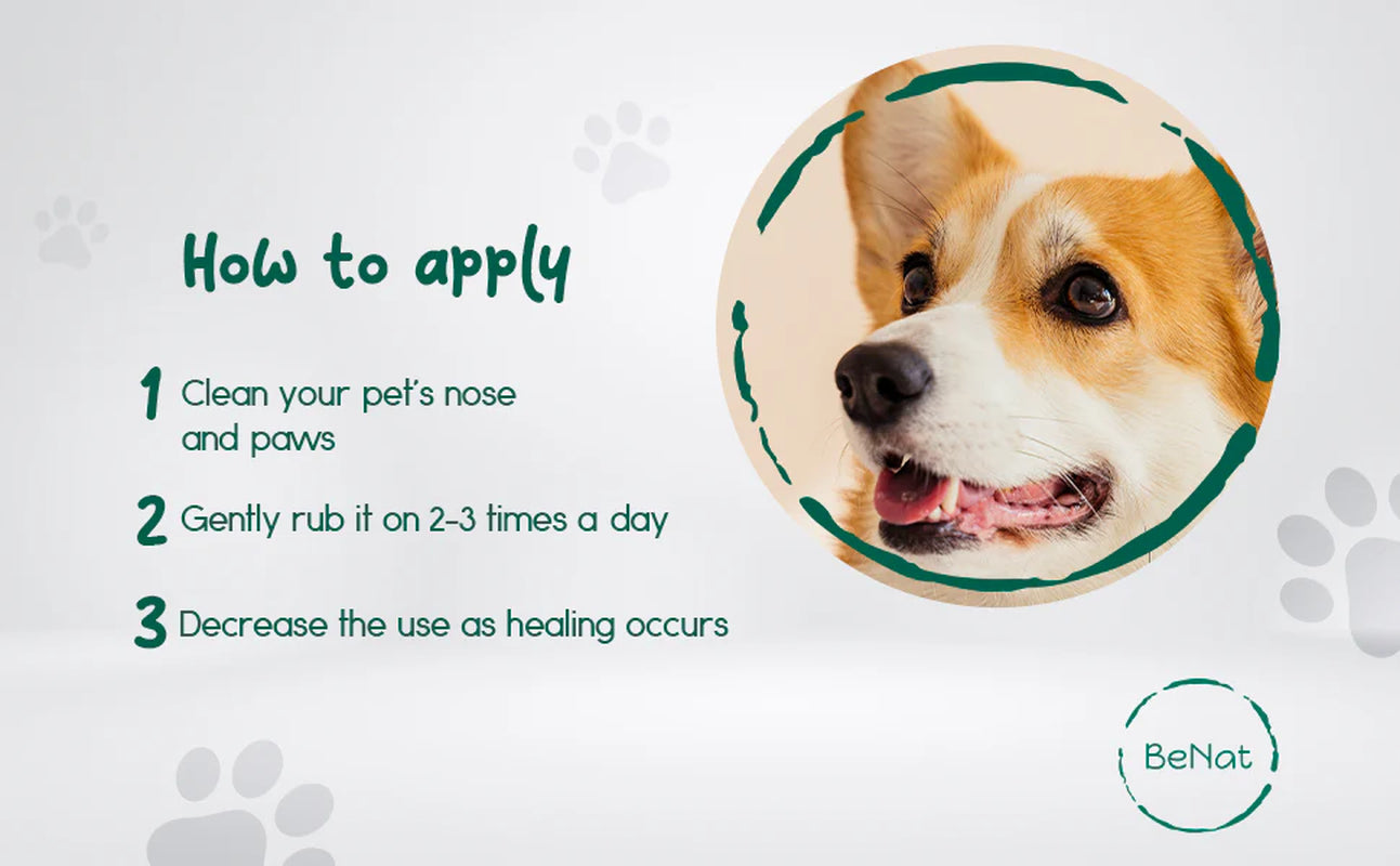 Pets Furry Pet Balm – Premium All-Natural Paw & Snout Care